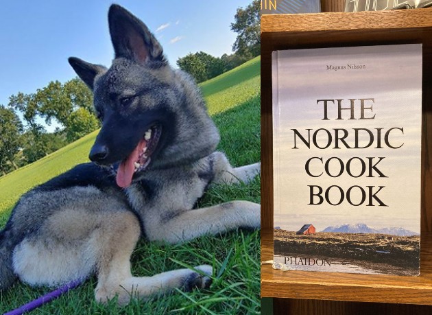 Flikka and The Nordic Cookbook
