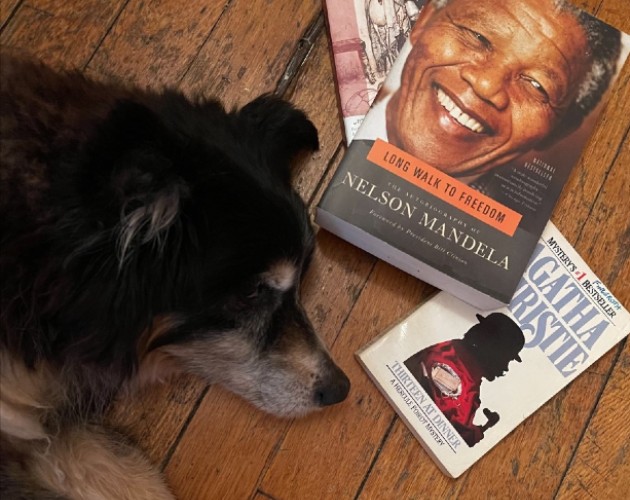 Winston and Long Walk to Freedom, Thirteen at Dinner, and Aesop's Fables